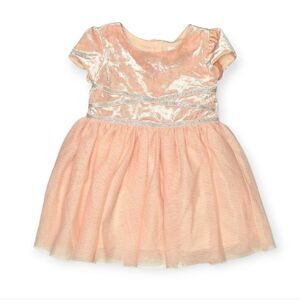 Children's Place Velvet & Tulle Special Ocassion Dress
